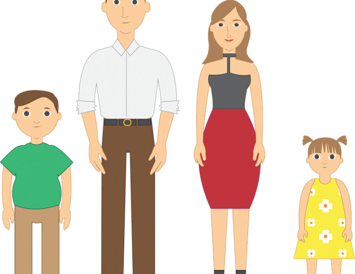 Nociones sobre la Formación de Inventario en la División Judicial de Herencia