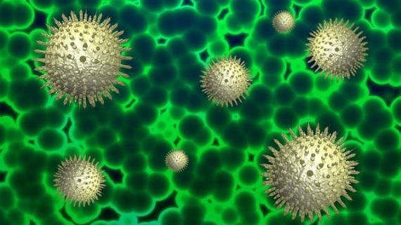 COVID-19. Medidas complementarias ERTES, contratación temporal y despidos