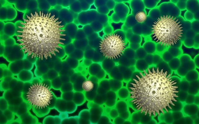 COVID-19. Medidas complementarias ERTES, contratación temporal y despidos