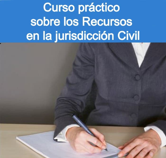 El Recurso de Apelación en el Juicio por Delito Leve El Recurso de Apelación en el Juicio por Delito Leve