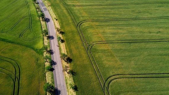 Acción Reivindicatoria. Acumulación con la acción de deslinde y amojonamiento