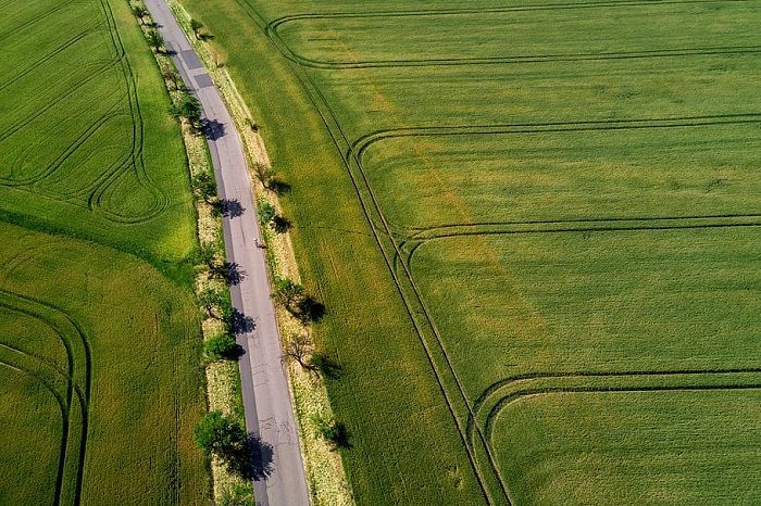 Acción Reivindicatoria. Acumulación con la acción de deslinde y amojonamiento