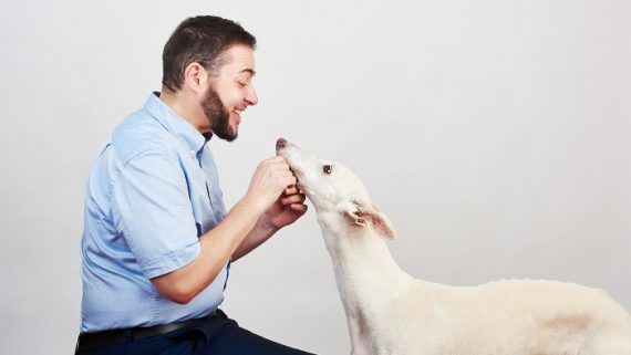 Eloi Sarrió: "existen hoy día costumbres que, sin duda, no contribuyen a considerar a los animales como los seres sintientes que son".