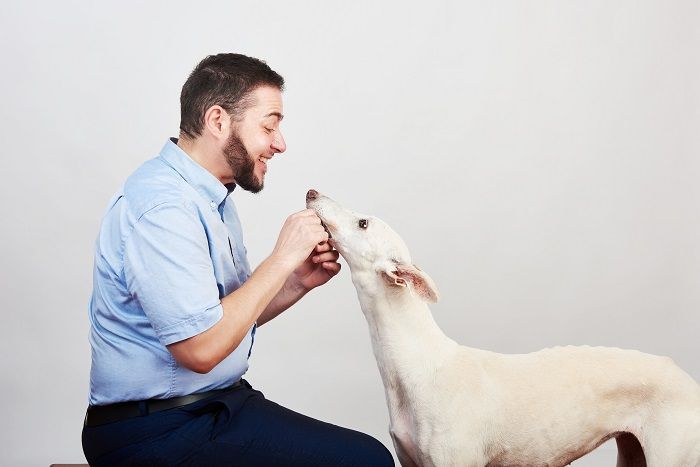 Eloi Sarrió: "existen hoy día costumbres que, sin duda, no contribuyen a considerar a los animales como los seres sintientes que son".