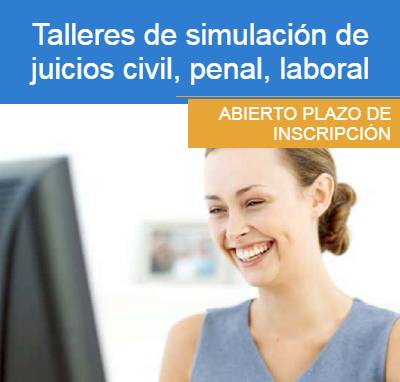 Desarrollo del Juicio Verbal de Familia